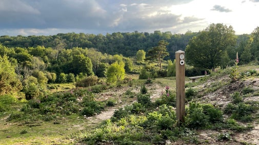 A wooden post with a white way marker arrow on the top stands in the middle of the heathland, looking over a view of woodland and heathland.
